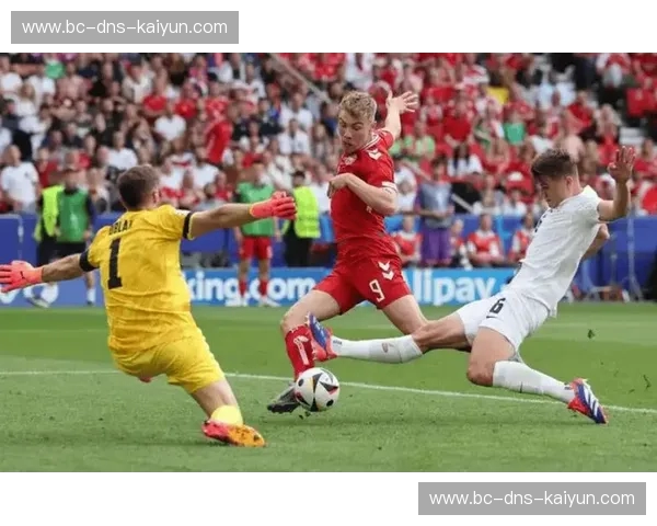 布里斯班怒狮迎战阿德莱德红龙：探寻澳超争冠之路的殊死对决
