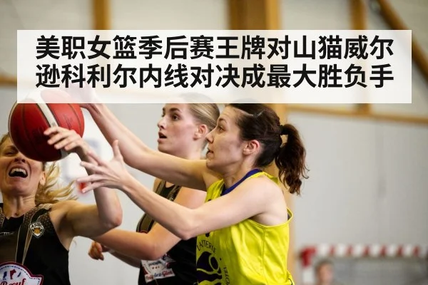 美职女篮季后赛王牌对山猫威尔逊科利尔内线对决成最大胜负手 - kaiyun